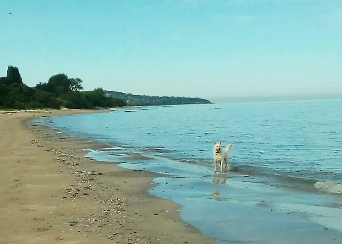 דירה Le Maely, Au Calme, Centre De *